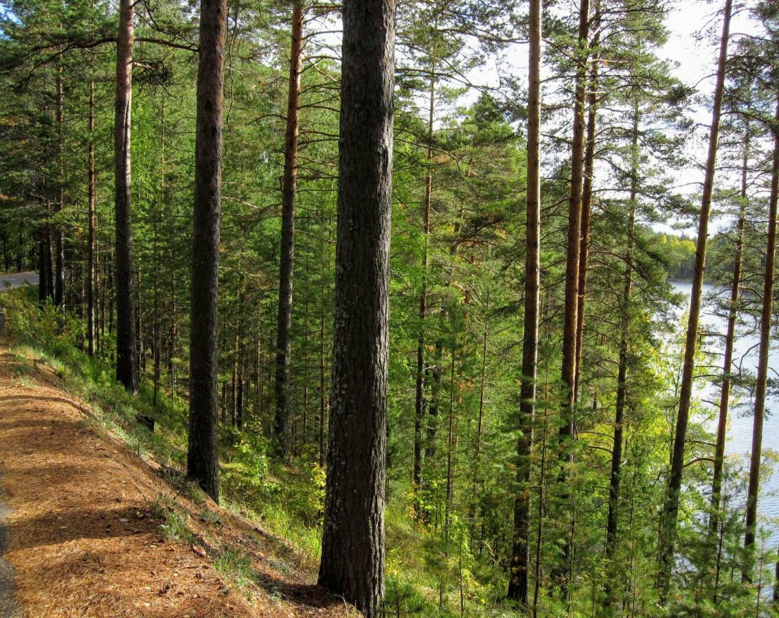 Pankkotupa Yrjo Villa Пункахару Екстериор снимка