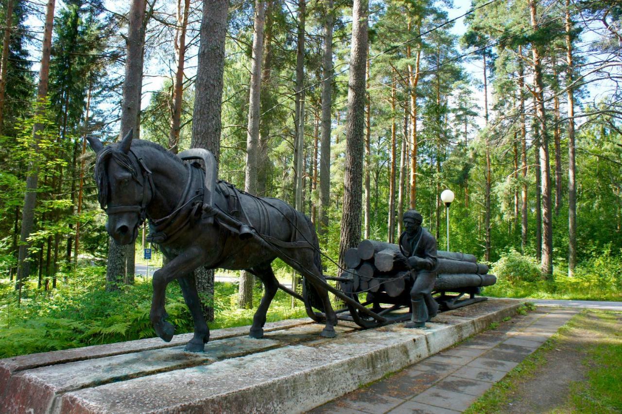 Pankkotupa Yrjo Villa Пункахару Екстериор снимка
